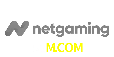 NetGaming